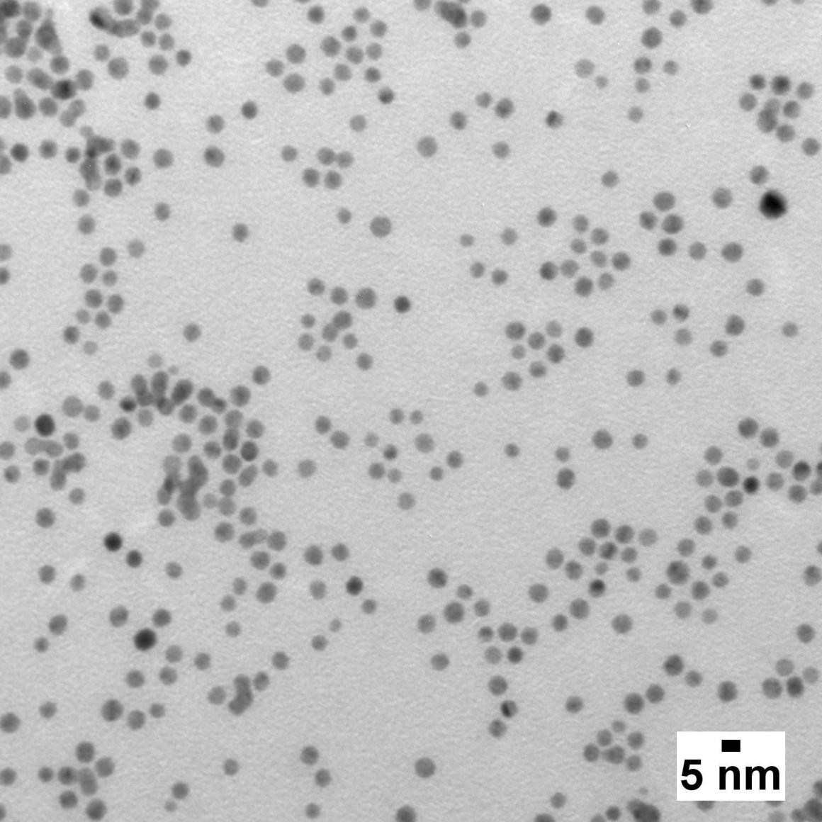 BioPure Gold Nanospheres – Bare (Citrate)·