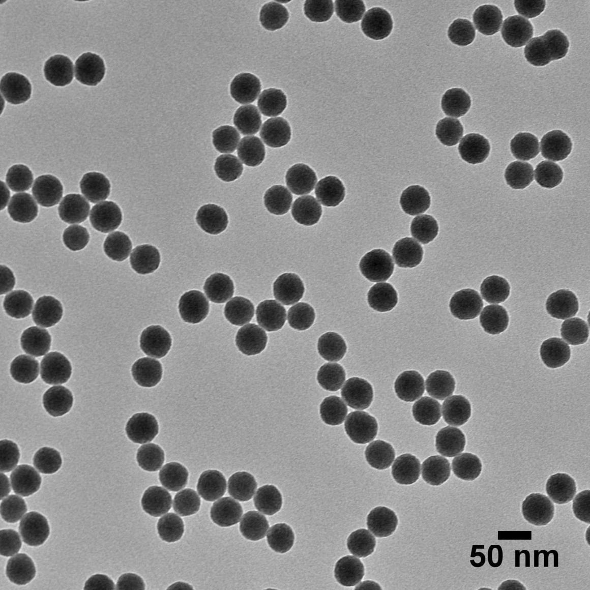 NanoXact Silica Nanospheres· 50nm