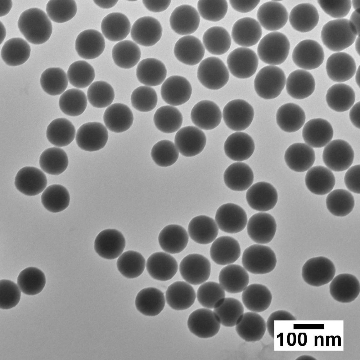 NanoXact Silica Nanospheres – Aminated· 100nm