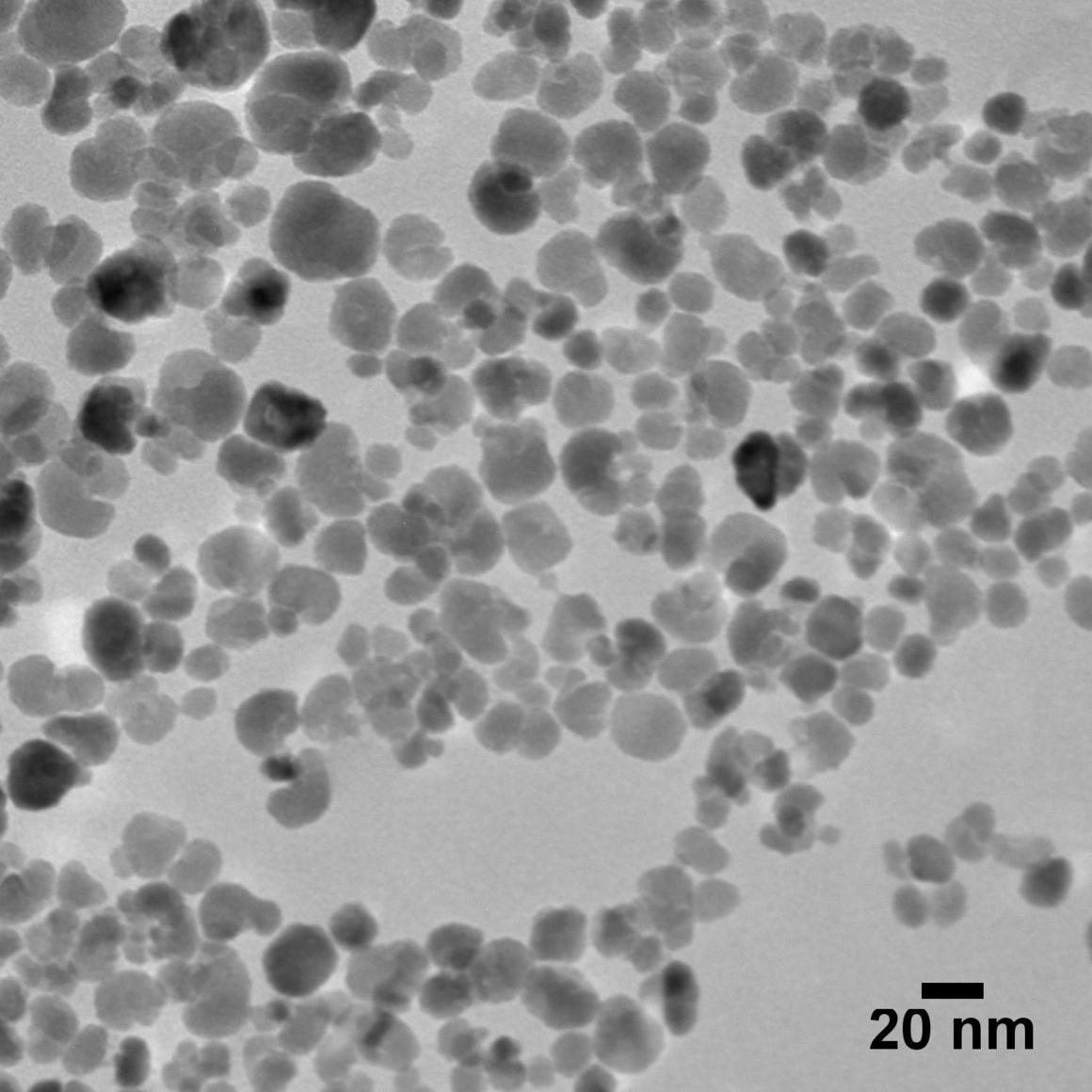 BioPure Magnetite Nanoparticles – PVP·